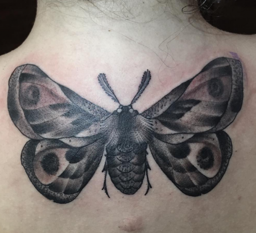 Guy Ursitti  tattoo tatovering moth black
