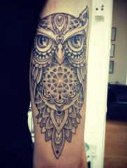 Simon Brandt Tattoo Art of Ink owl