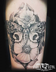 Simon Brandt Tattoo Art of Ink moth