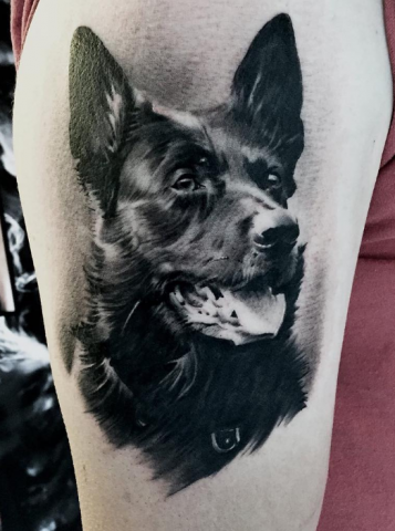 Pedro Leon Studio 73 Tattoo black n grey realism dog